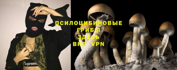 синтетический гашиш Яранск