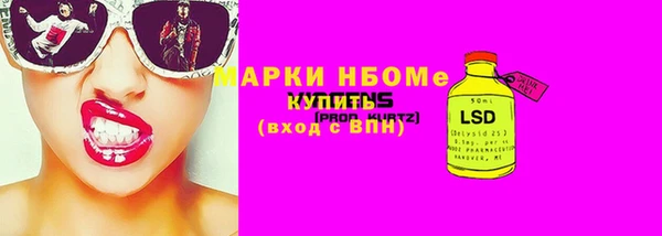 стафф Заводоуковск