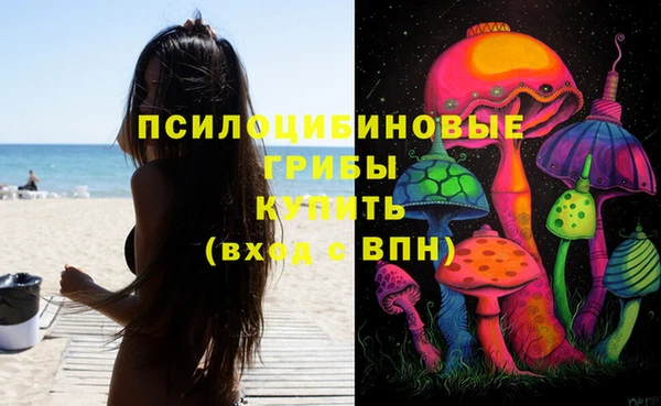 стафф Заводоуковск