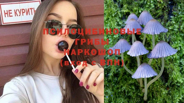 ешки Заволжск