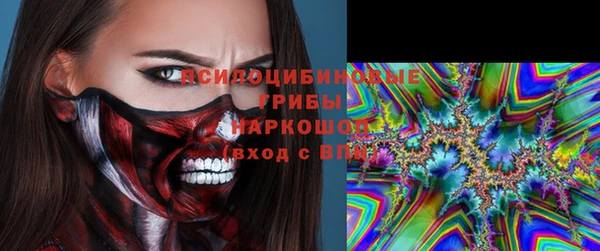 стафф Заводоуковск