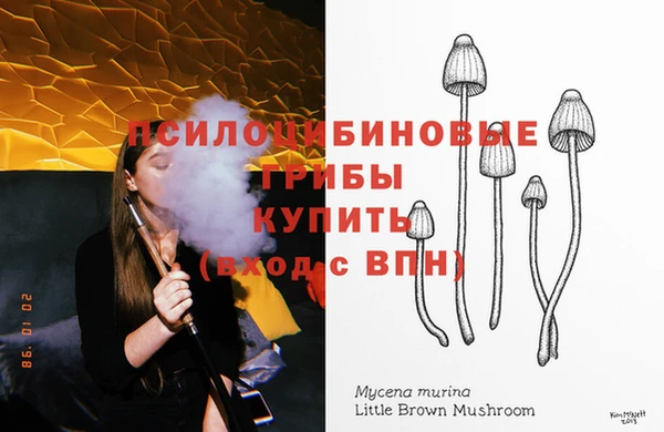 ешки Заволжск