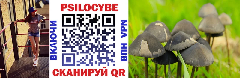Псилоцибиновые грибы прущие грибы  ОМГ ОМГ маркетплейс  Северо-Курильск 
